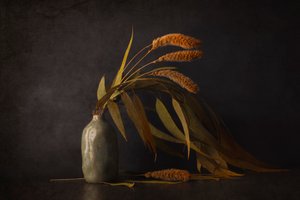 Dried Botanical Still Life by Cicek Kiral