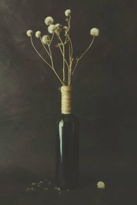 Dried Dandelion Bottle by Cicek Kiral