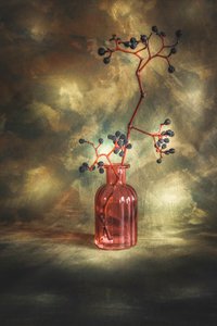 Moody Berries Still Life by Cicek Kiral