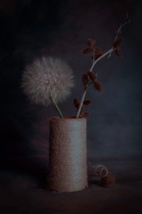 Moody Botanical Still Life by Cicek Kiral