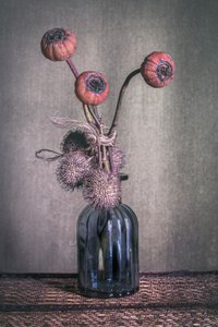 Moody Dried Pods by Cicek Kiral