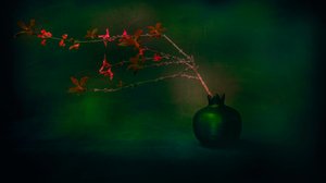 Moody Pomegranate Branch by Cicek Kiral