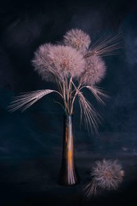 Muted Dandelions and Wheat by Cicek Kiral