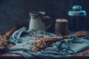 Moody Floral Still Life by Cindy Liu