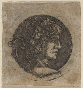 Head of a Roman Emperor