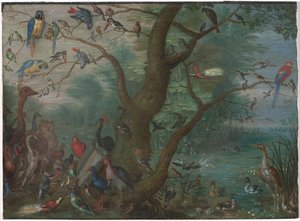 Concert of Birds by Circle of Jan van Kessel the Elder