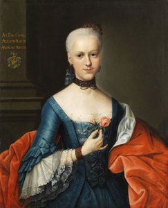 Portrait of a Young Noble Lady