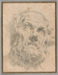 Head of an Old Man, possibly Seneca by Circle of Peter Paul Rubens