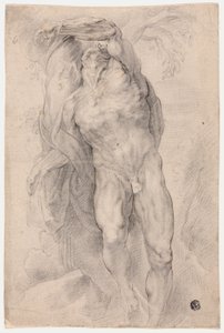 Male Nude Tied to Tree
