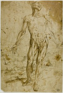Flayed Figure before Landscape (front); Sketches of Standing Male Nude, Seated Child, Stooping Woman (back) by Circle of Titian