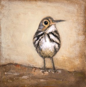 Curious Little Bird by Claire Lerner