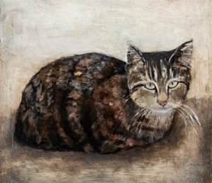 Curious Tabby Cat by Claire Lerner