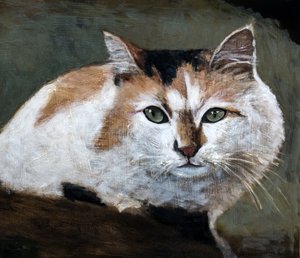 Watchful Calico Cat by Claire Lerner