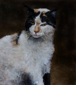 Watchful Calico Cat by Claire Lerner