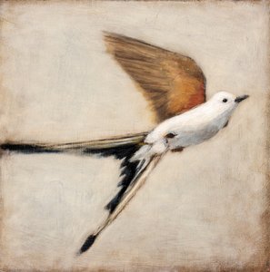 White Bird in Flight