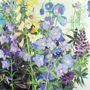 Delphiniums and Foxgloves