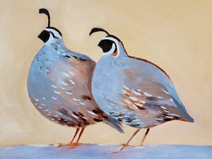 Charming Quail Pair by Claire Whitehead