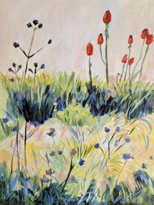 Colorful Summer Wildflowers by Claire Whitehead