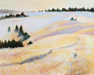 Peaceful Golden Fields by Claire Whitehead
