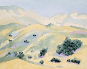 Serene Rolling Hills