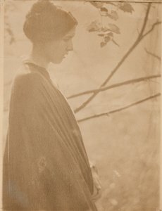 Sunlight, 1899, printed 1901