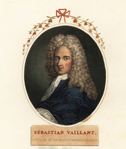 Portrait of Sebastian Vaillant, French Botanist