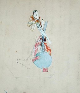Nervous system in the head of a cat, 25th May 1842 by Claude Bernard