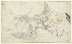 Three Sketches of a Bird