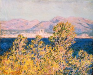 Antibes View from the Cape