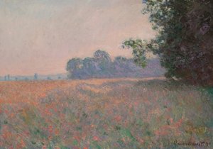 Field of Oats and Poppies