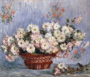Chrysanthemums