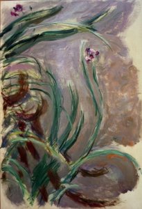 Irises by Claude Monet