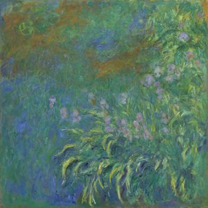 Irises, 1914-17 by Claude Monet