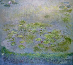 Water Lilies