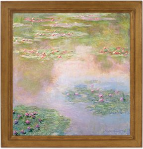 Water Lilies