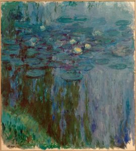 Water Lilies