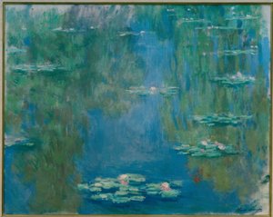 Water Lilies