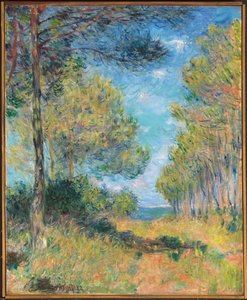 Pine Tree Path at Varengeville by Claude Monet