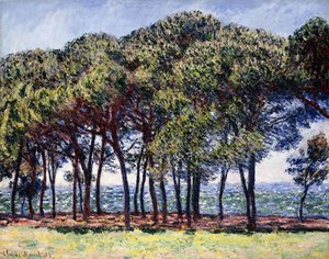 Pines, Cap d