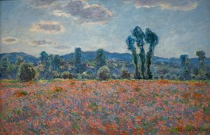 Poppy Field