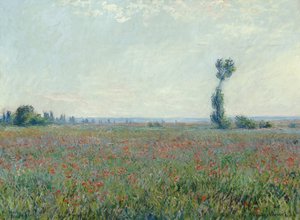 Poppy Field, 1881