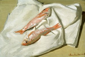 Red Mullet