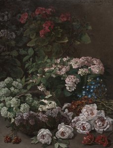 Spring Flowers