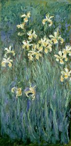 The Yellow Irises