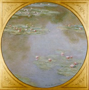 Water Lilies