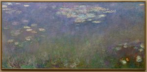 Water Lilies Agapanthus