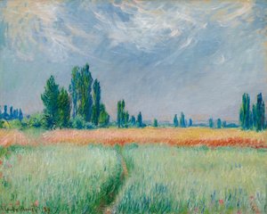 Wheatfield