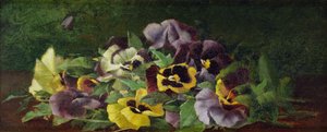 Pansies