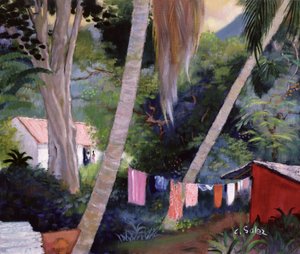 Drying Washing, Guadeloupe by Claude Salez