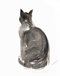 Cat, 1985